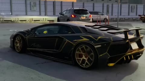 Two black lambos going into car park