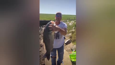Catching Multiple Large Buffalo Carp in the Texarkana Spillway / Fishing