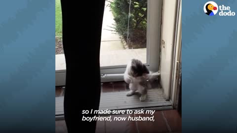 Woman Becomes Third Wheel In Her Cat And Husband's Relationship | The Dodo Cat Crazy