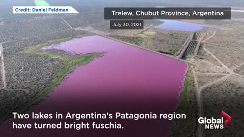 Why have two Argentina lakes turned pink? Environmentalists say it is because of pollution