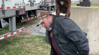 Truck Drivers Dog Jumps and Stands on Top of His Shoulders