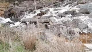 Waterfall after floods