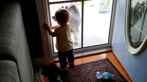 Toddler Talks to Dog