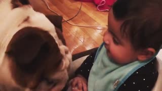 BodyGaurd Dog Protect Baby In His Room As Mother Ordered Him