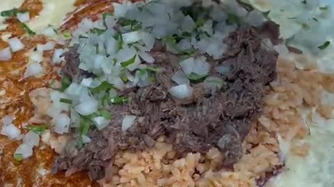 How much would you pay for this Birria burrito Got it from