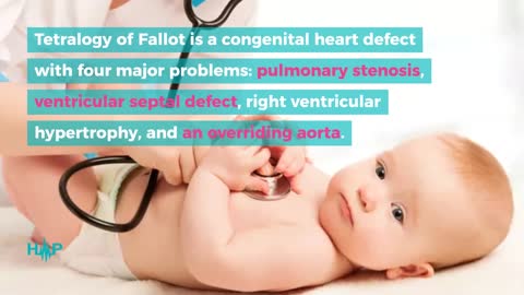 Causes & Risk Factors Of Tetralogy Of Fallot