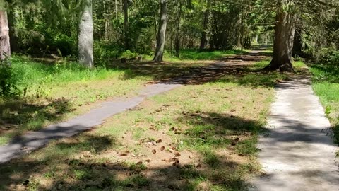 Kurze Tour zum Michaux State Forest in Pennsylvania, Teil 2 - Kriegsgefangenlager