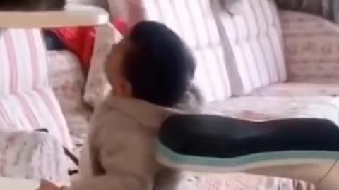 A cat hits the child and another plays sports