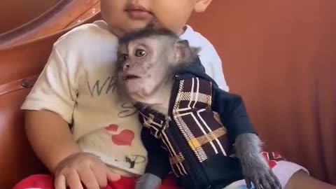 Funny and cute online baby video