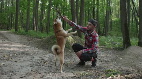 A man playing with his dog in the woods