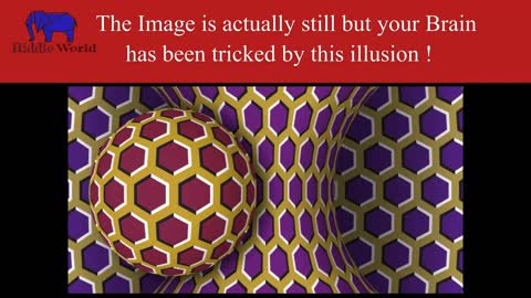 3 Mind Blowing Optical Illusions | Riddle world