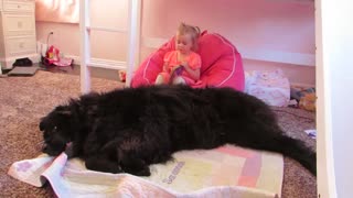 Giant dog protests toddler's bedtime story