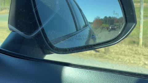 Sisters Take a Stressful Trip Through Drive-Thru Safari