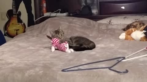 Kitty kicks sock monkeys butt then takes on the real monkey