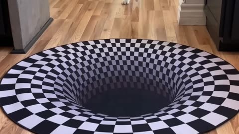 Dog surprise with 3d drawing and fall
