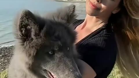 Beauty and the Wolf