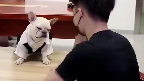 Moni Doggy enjoying with owner's amazing rumble video