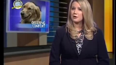 Sandy Hook Comfort Dogs - NCTV17 2013