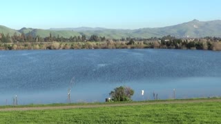 Fremont, CA — Quarry Lakes Regional Park #1