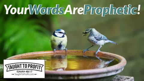 Your Words Are Prophetic - Only Speak About What You Want!