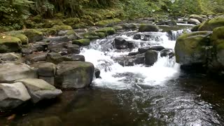 Abernathy Creek near Longview Washington