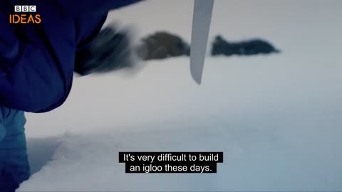 The melting Arctic _ BBC Ideas