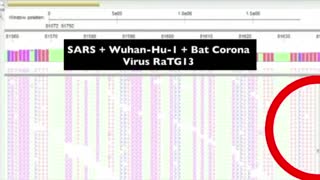 What is virus?