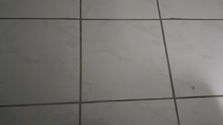 Woke Becomes Tile Floor