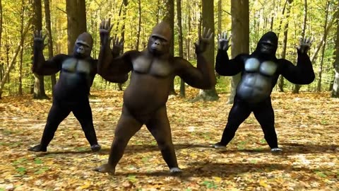 Groovy Gorilla Grooves: Watch Gorillas Dance to the Beat! 🦍🎶