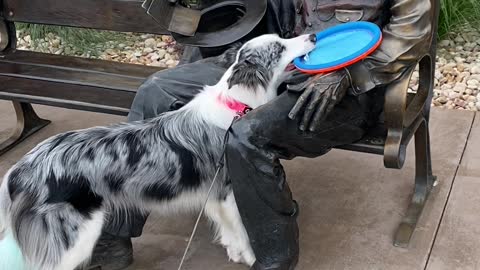 Abe Lincoln Won't Throw Frisbee for Perky Pup