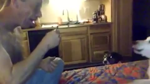 Dogs make great audiences for magic tricks