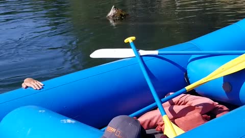 Family Vacation River Rafting1