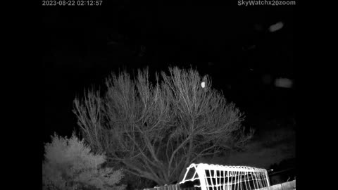 Cool Capture on Sony Night Vision IR Camera - What is it? The Out There Channel Aug 2023 4k