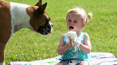 Boxer dog, little girl and ice cream cone