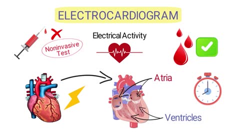 What is an Electrocardiogram? (EKG/ECG) *SIMPLE Explanation*