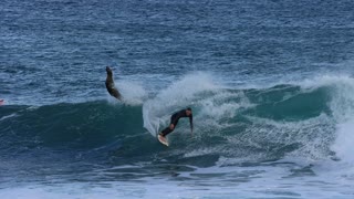 Surfer Dropped In By A Seal