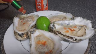 Raw Fresh Oyster