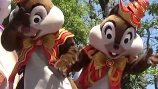 Couple Chipmunks cake eater in street show