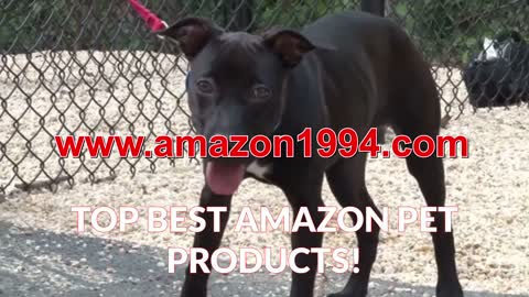 Bourbonnais Middle Class Amazon Prime Member Pet Products
