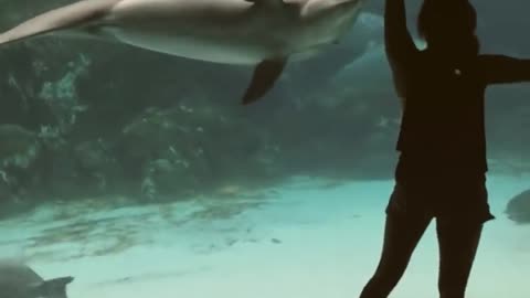 Girl Makes Dolphin Laugh