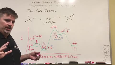 Sn1 Reaction Basics