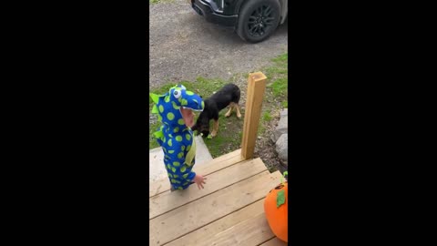 Pup thinks kids Halloween costume is a chew toy