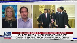Rubio says China's reputation has suffered 'irreparable' damage due to coronavirus