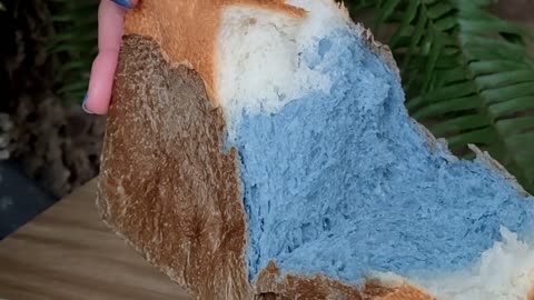 Mt Fuji bread,Raw Toast