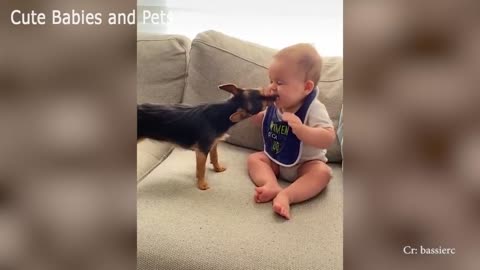 See the special bond shared between toddlers and puppies