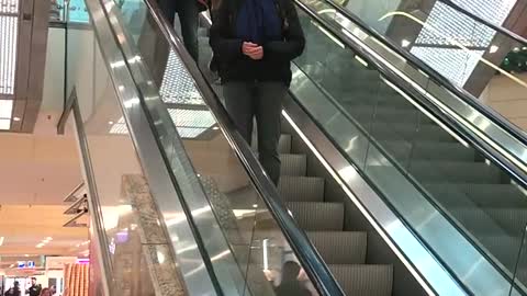 Golden retriever takes a ride on the escalator