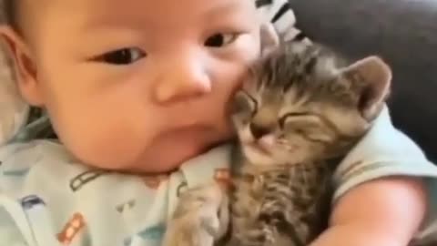 this baby is so loving to her adorable kitten