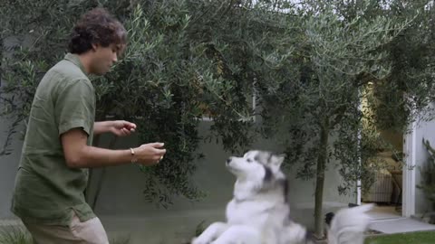 Man Teaches And Trains His Dog
