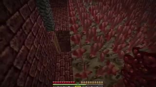 Minecraft: Blaze / XP farm - Beat Them With The Rod Of Correction