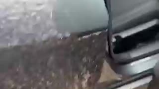 Cars Freeze Into Ice Cubes